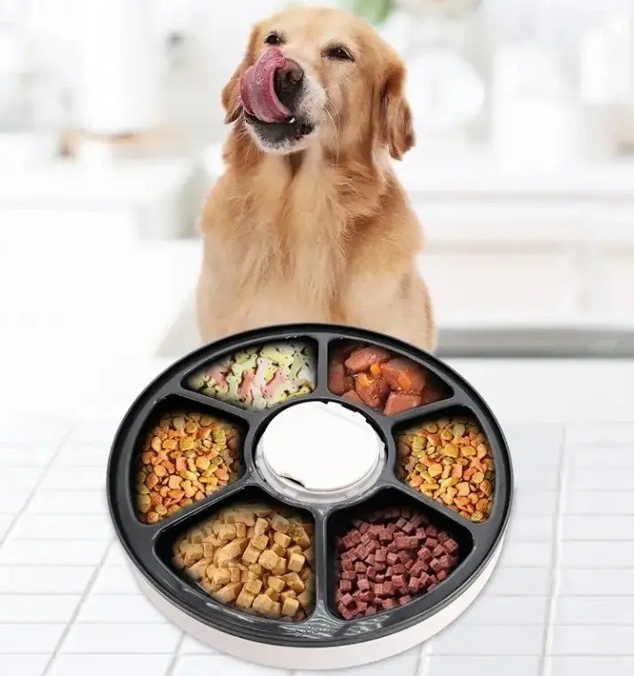 Dispensador Alimento Automatico Perros y Gatos - Imagen 6
